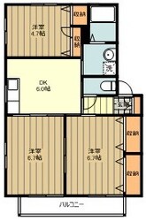 ミラコスタ　Cの物件間取画像